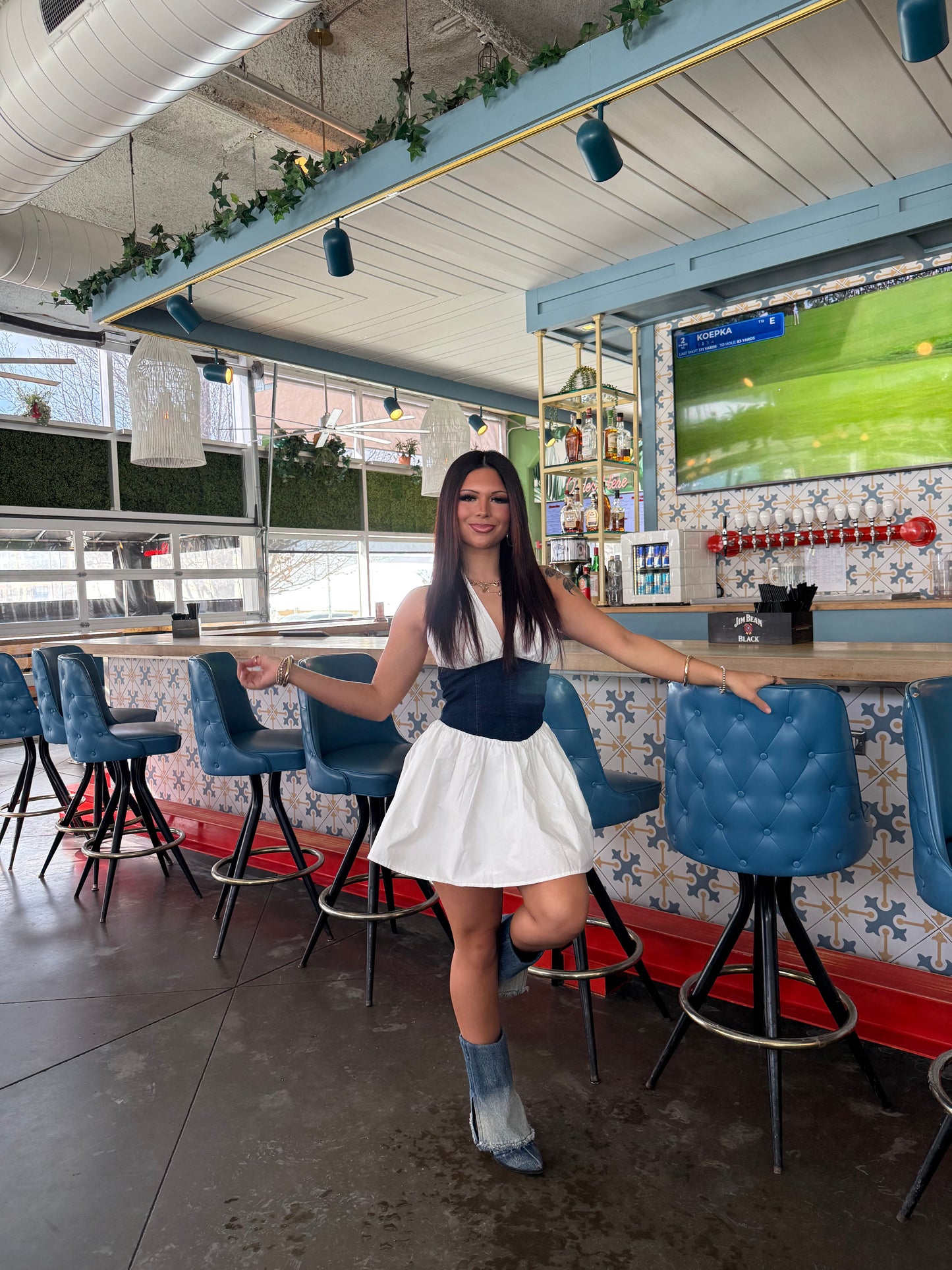 Nova Denim/Poplin Dress