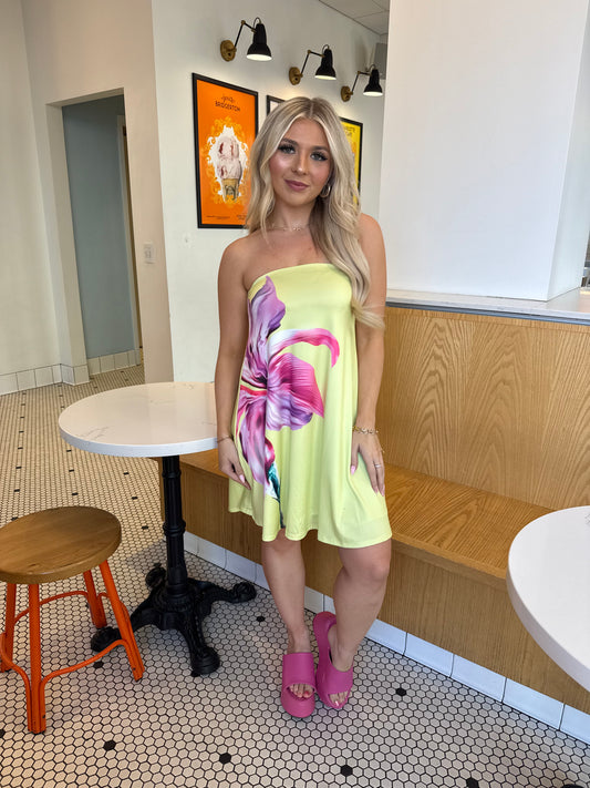 Spring Works Mini Dress