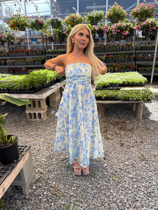 Porcelain Baby Blue Maxi Dress