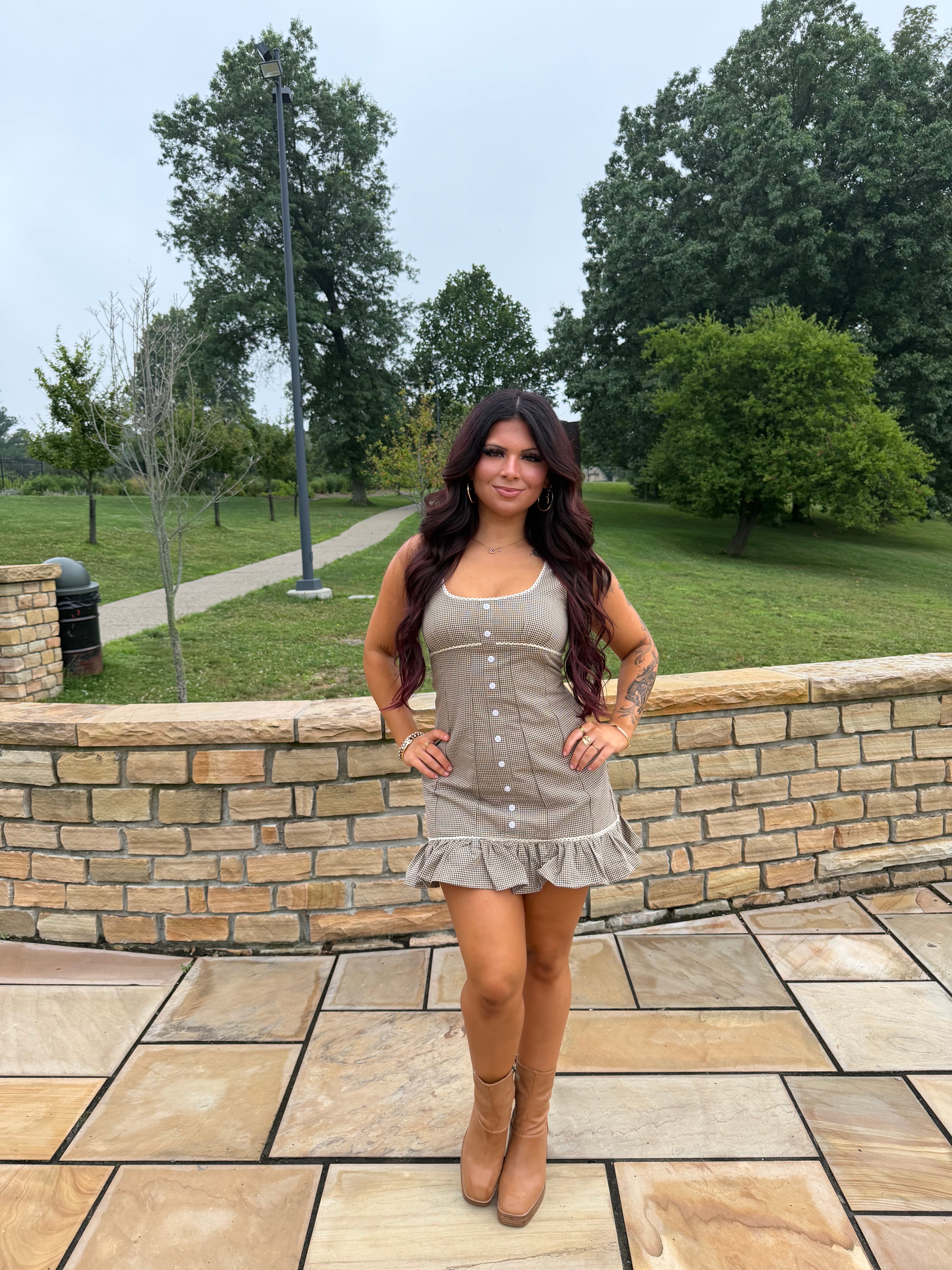 Sab Mini Dress in Brown