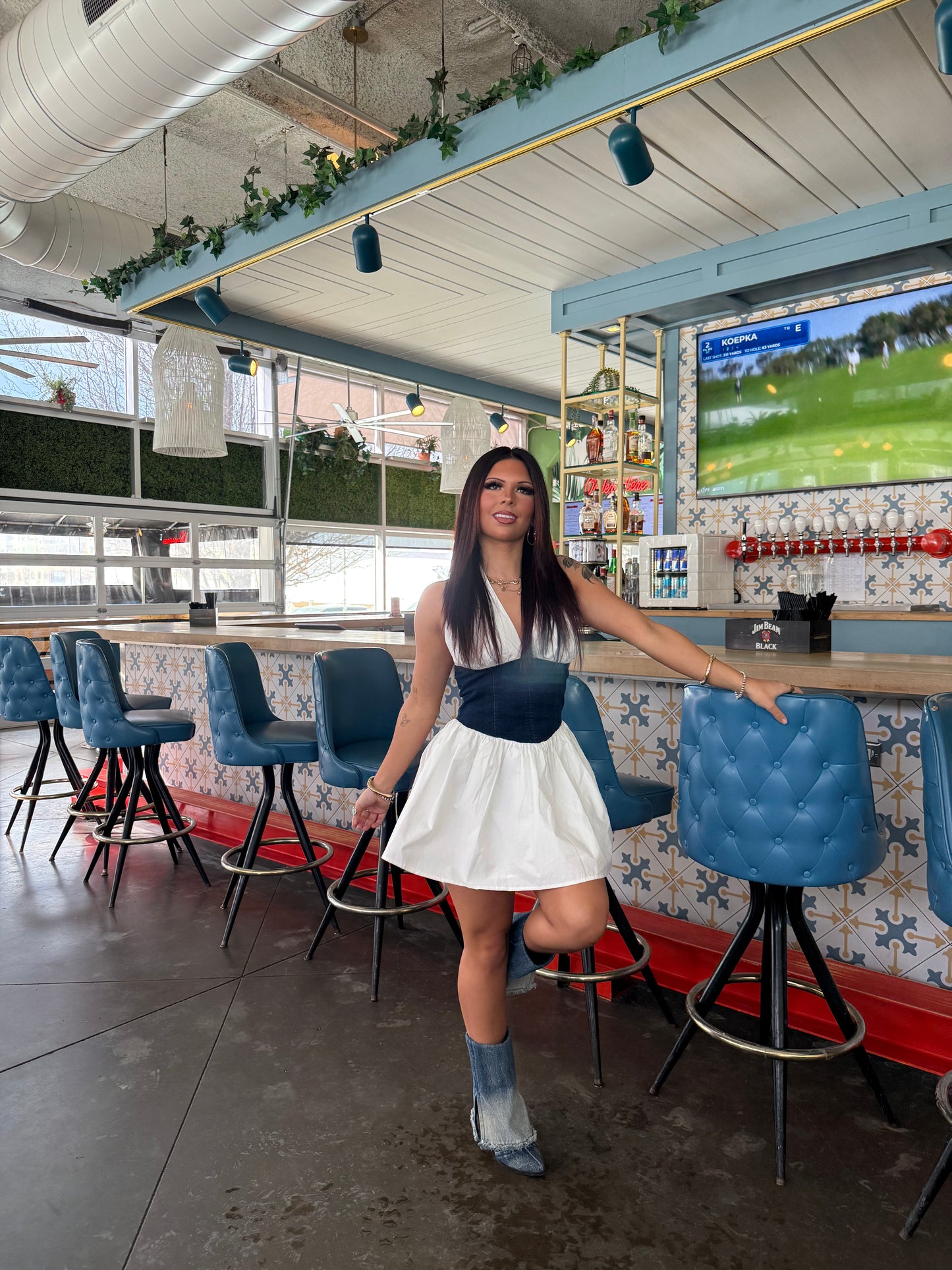 Nova Denim/Poplin Dress