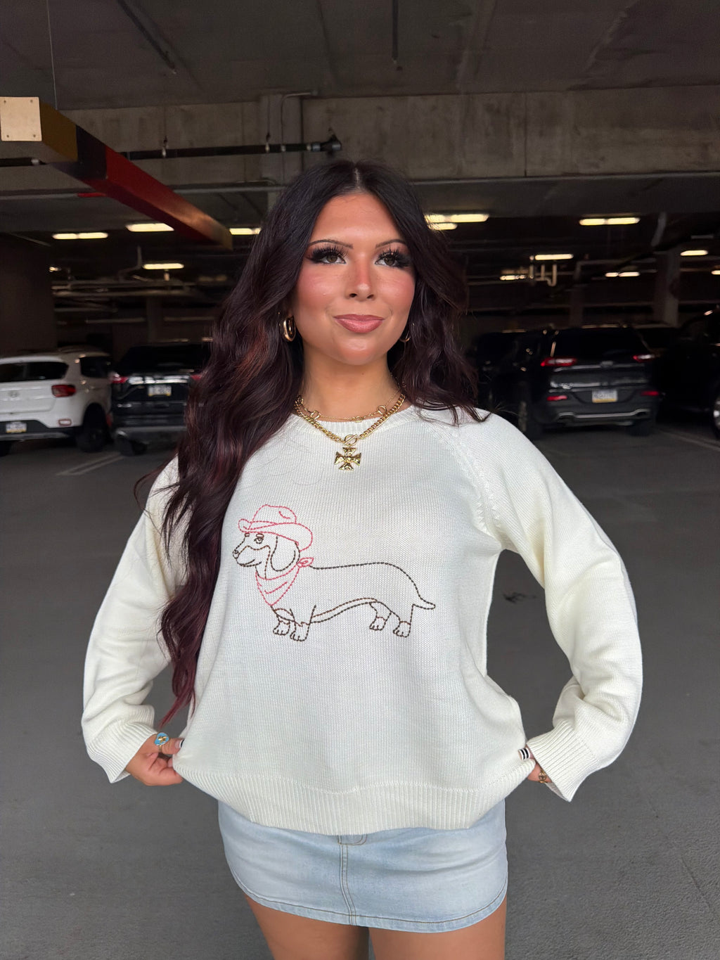 Howdy Weenie Sweater