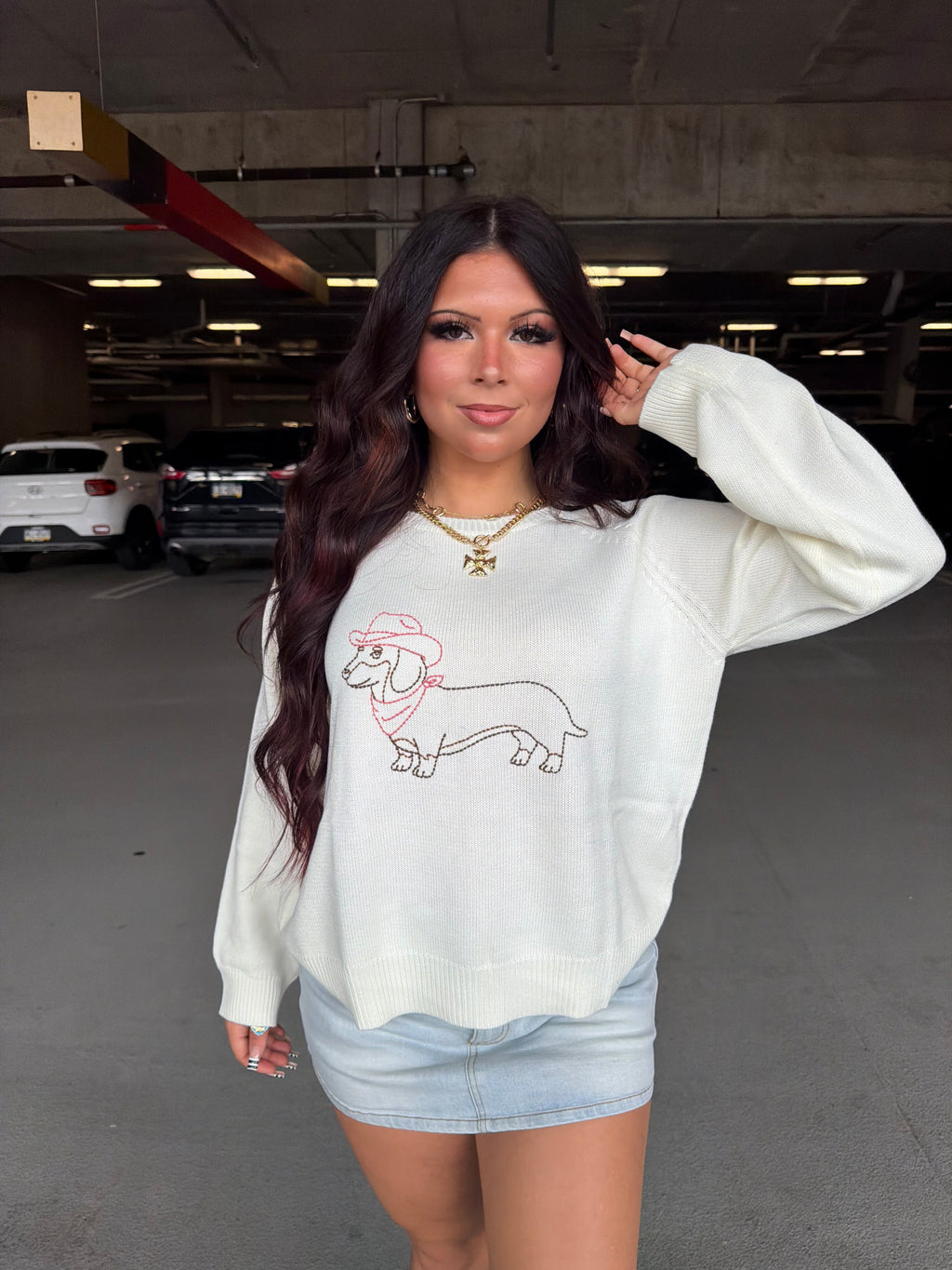 Howdy Weenie Sweater