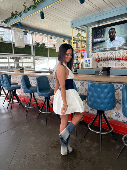 Nova Denim/Poplin Dress