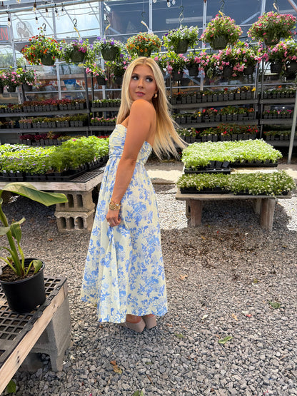 Porcelain Baby Blue Maxi Dress