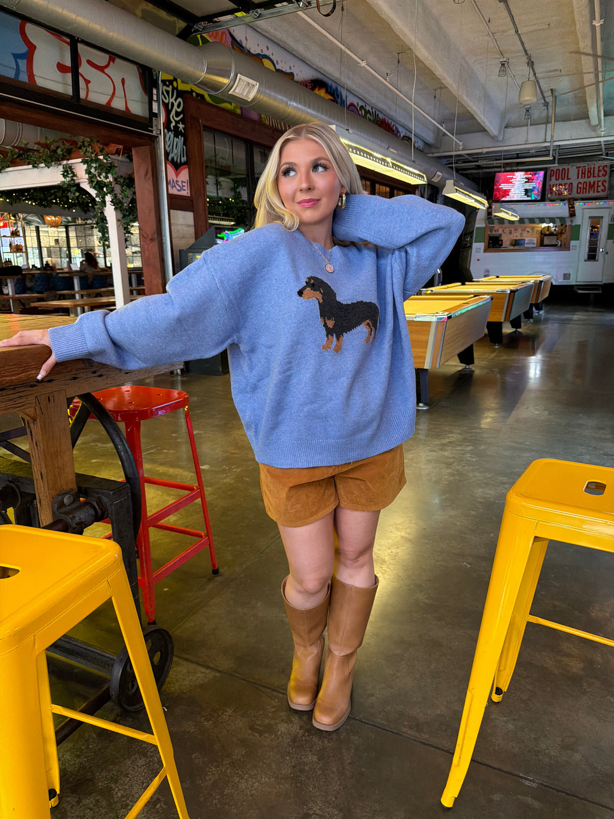 Hot Dog Baby Blue Sweater