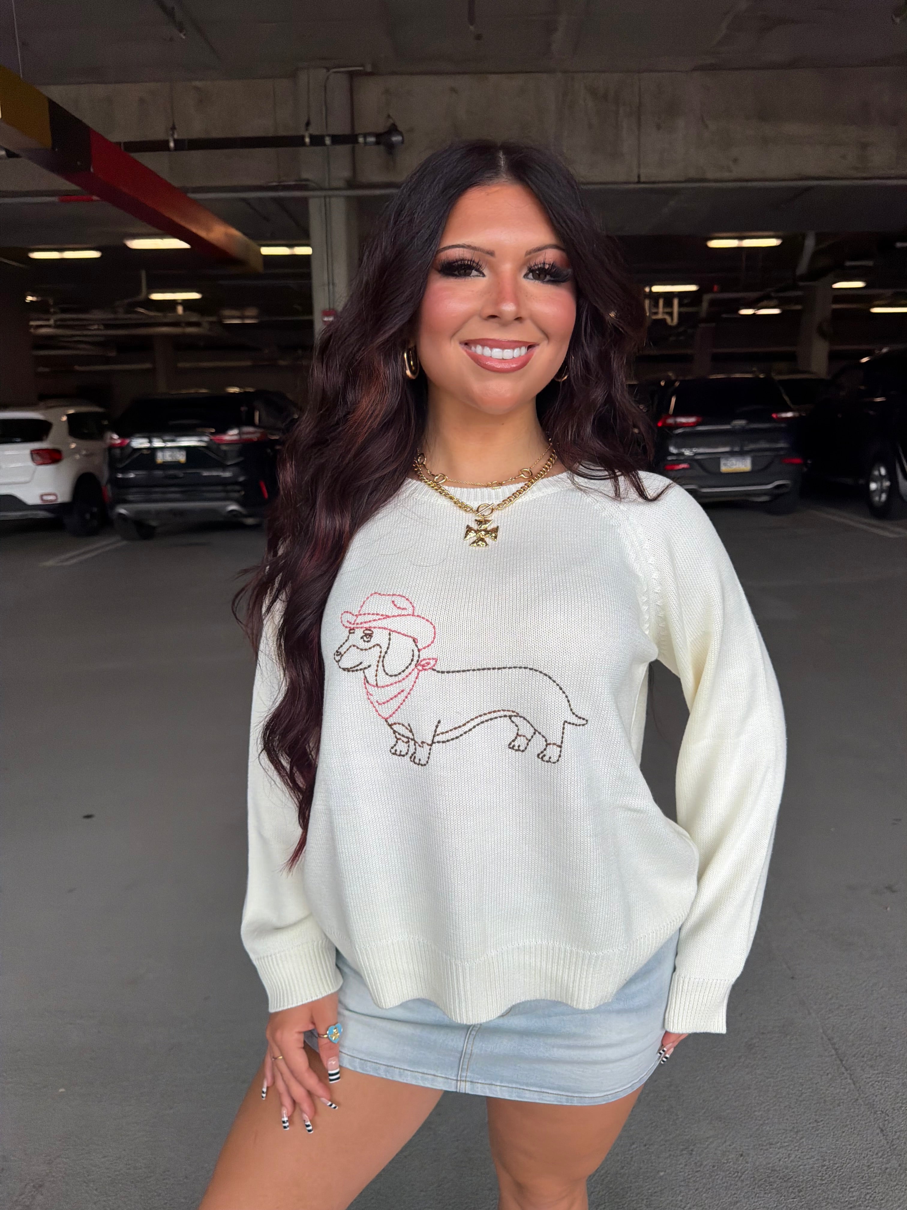Howdy Weenie Sweater