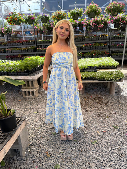 Porcelain Baby Blue Maxi Dress