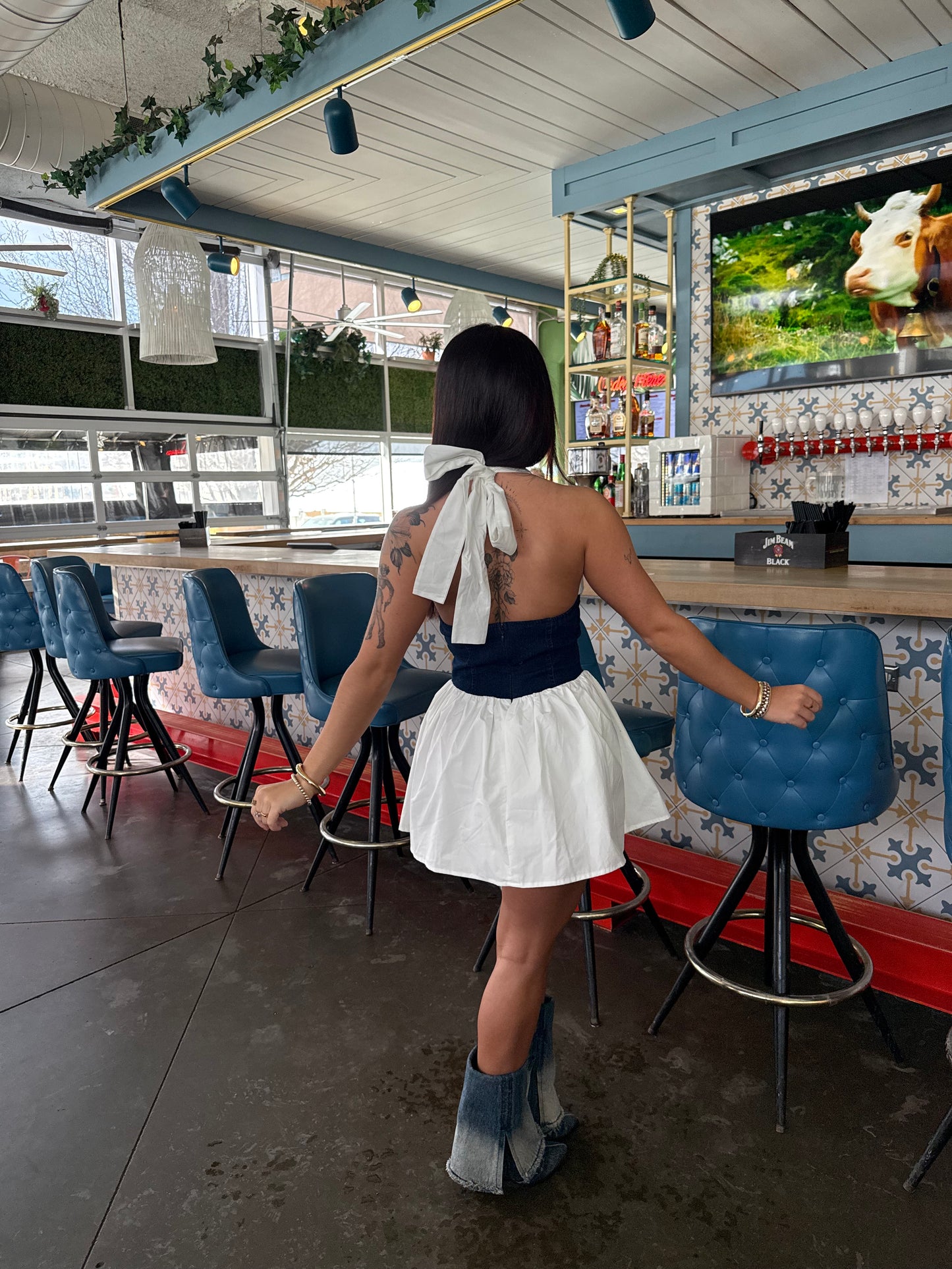 Nova Denim/Poplin Dress