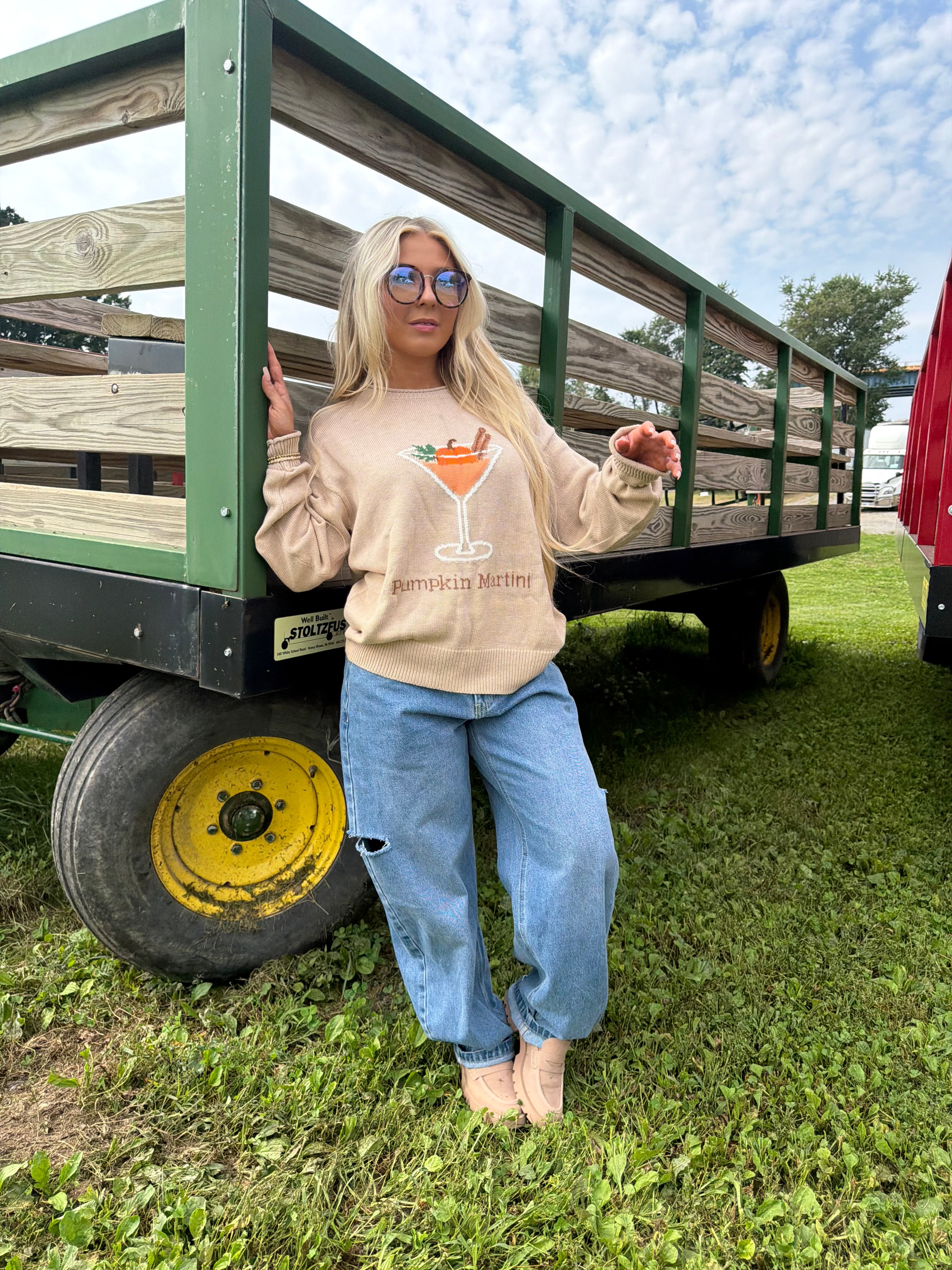 Pumpkin Martini Sweater FINAL SALE