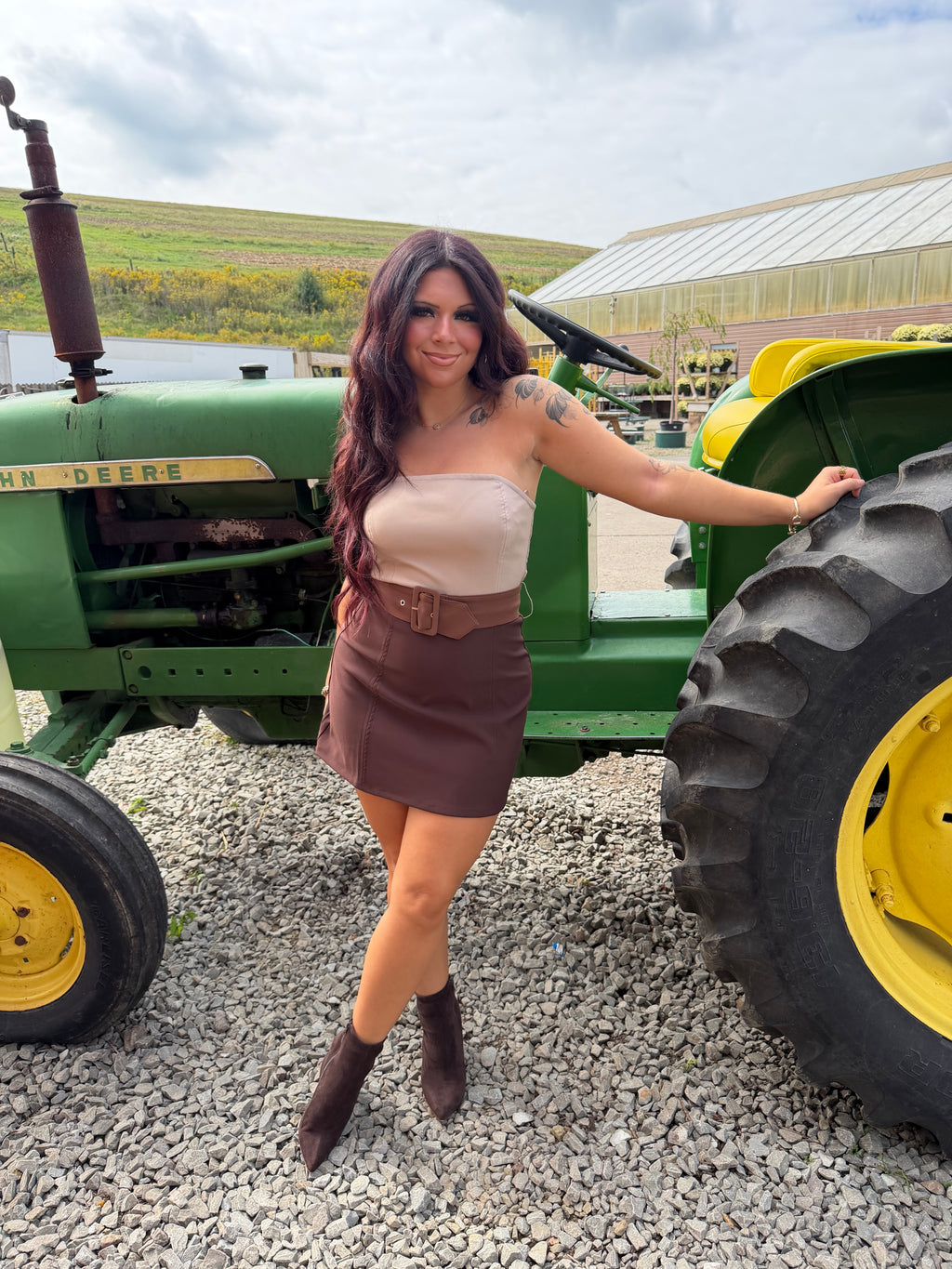 Brookie Choc Suede Dress