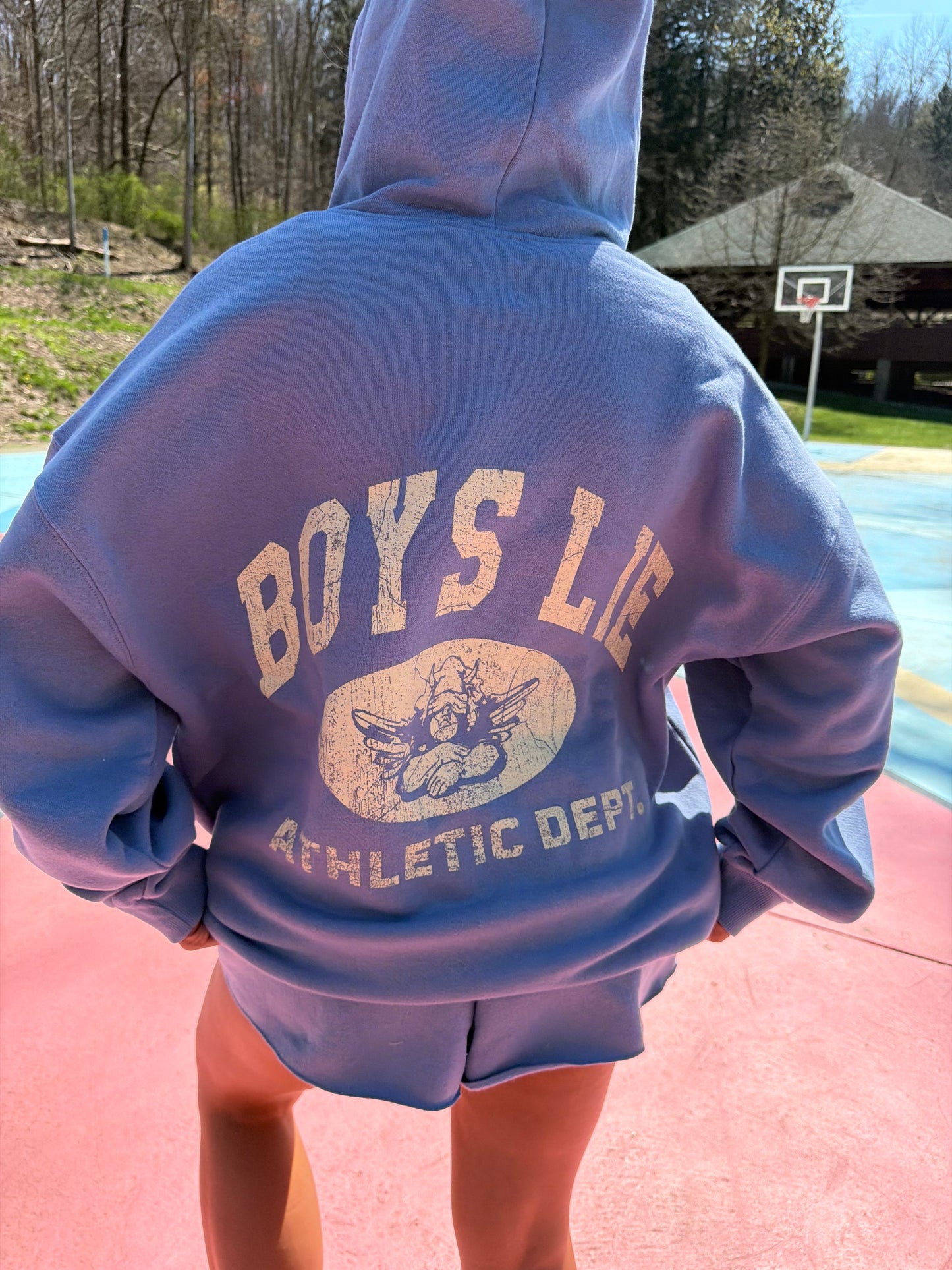 Boys Lie Athletic Dept V3 Zip