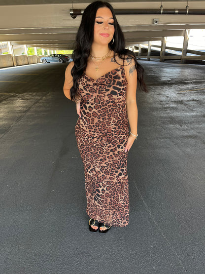 Kitty Cat Maxi Dress