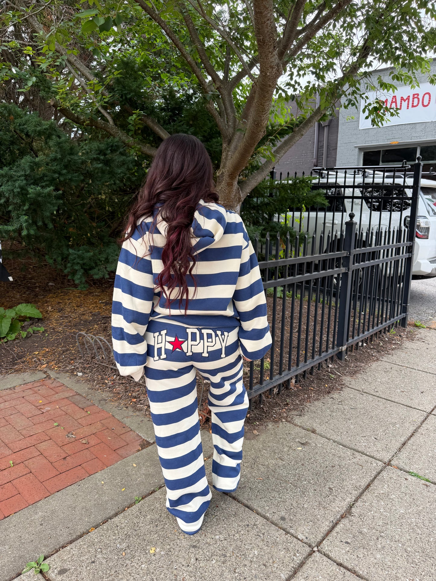Happy Camp3r Indigo Stripe Sweatpants