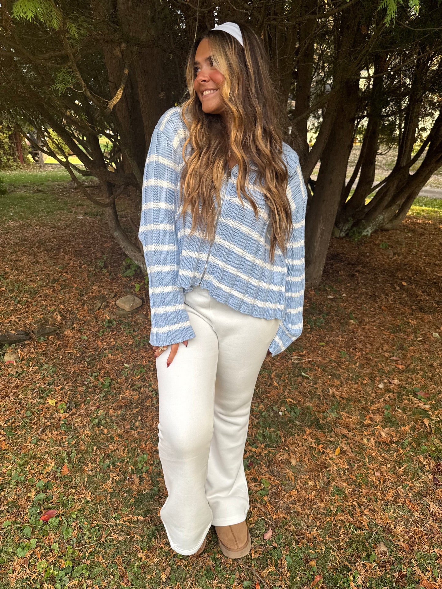 Winter Wonderland Zip