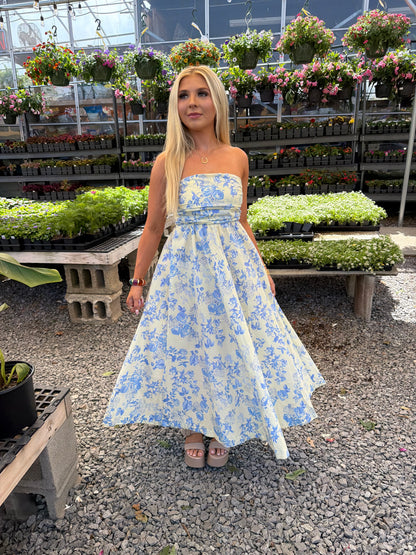 Porcelain Baby Blue Maxi Dress