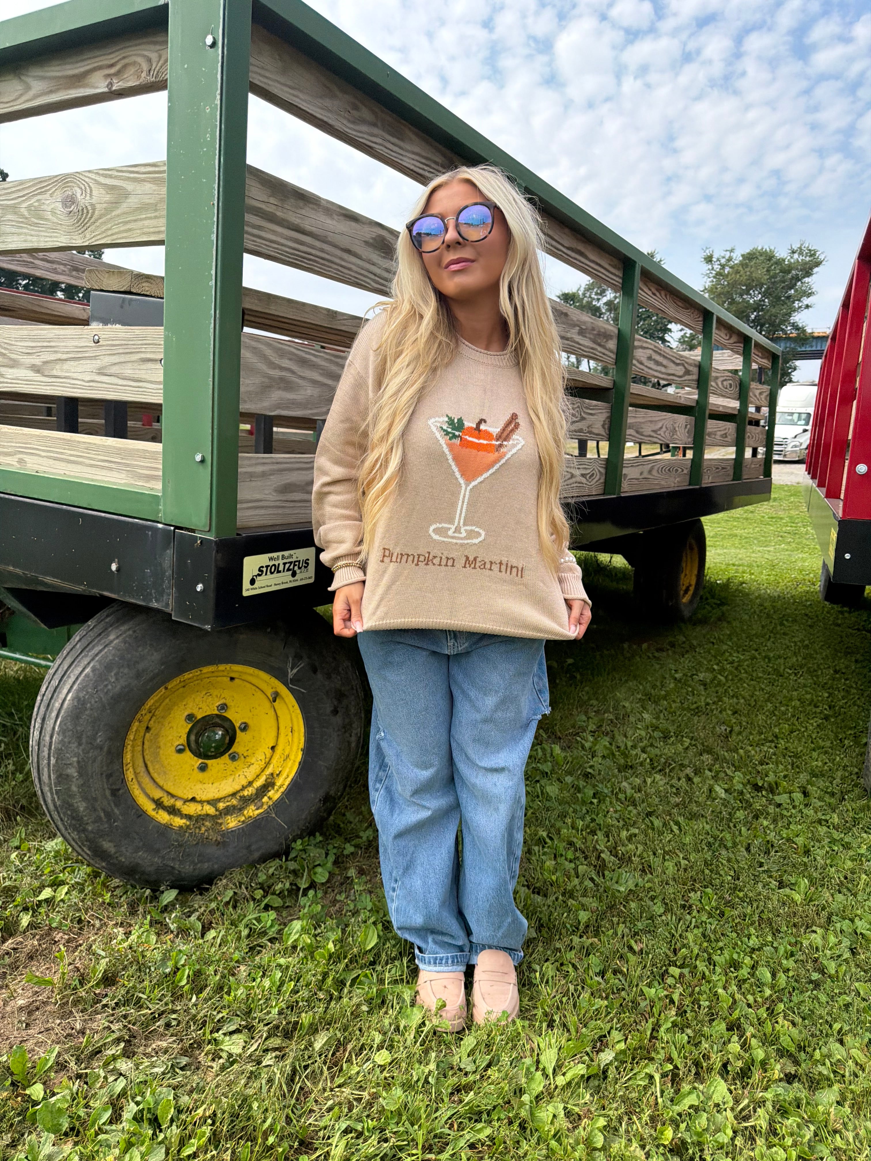Pumpkin Martini Sweater FINAL SALE