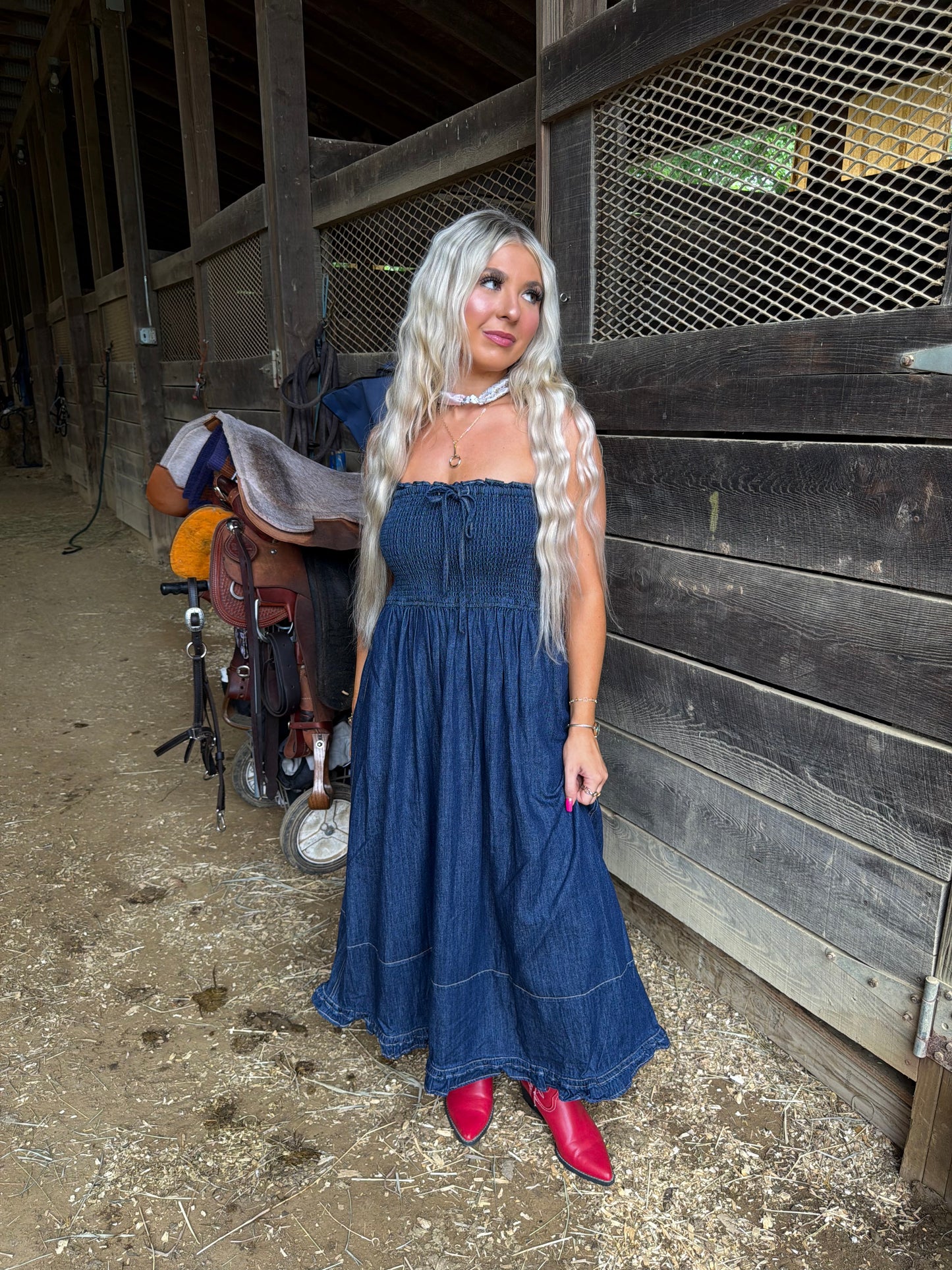 Holly Denim Midi Dress