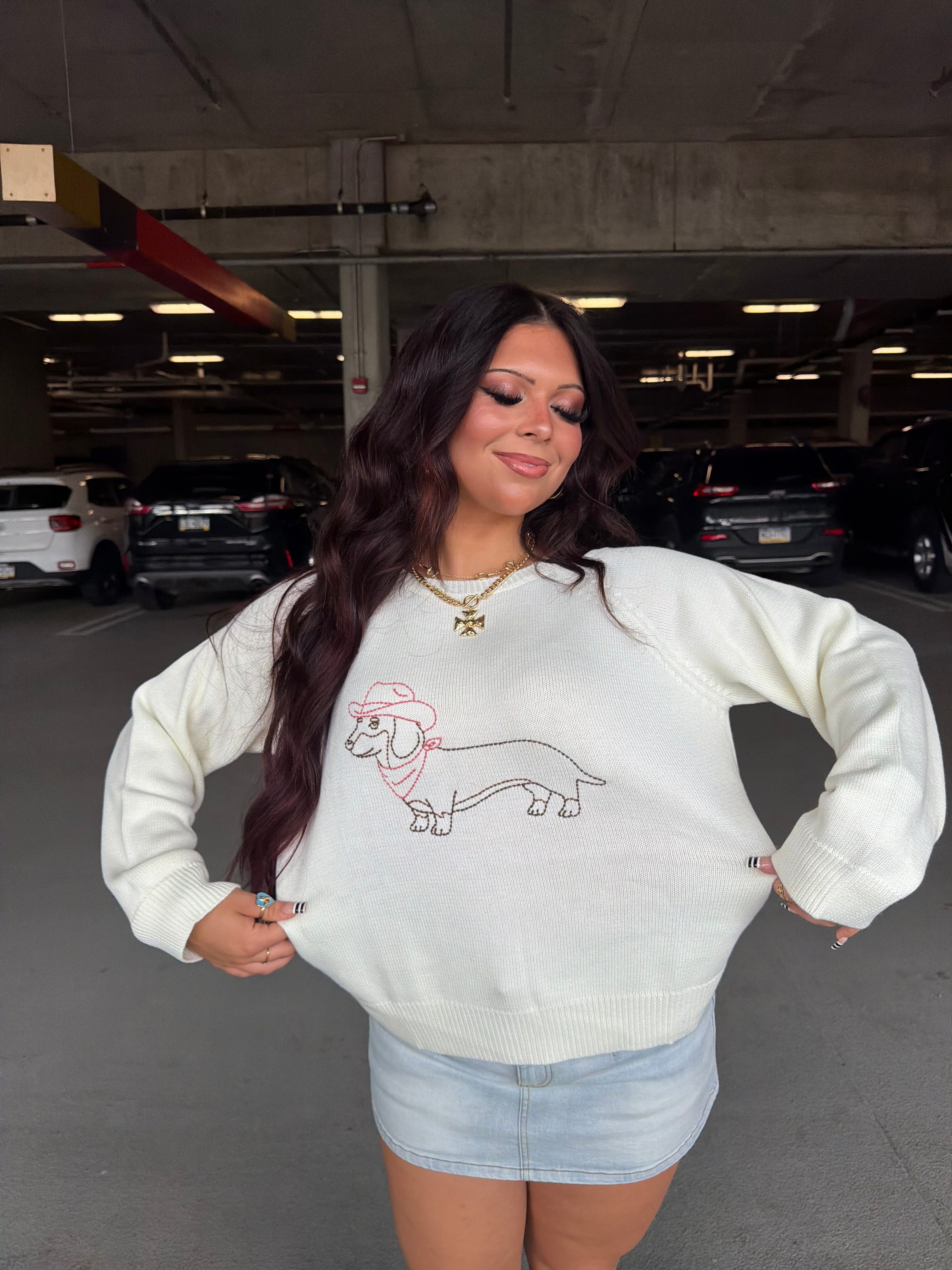 Howdy Weenie Sweater