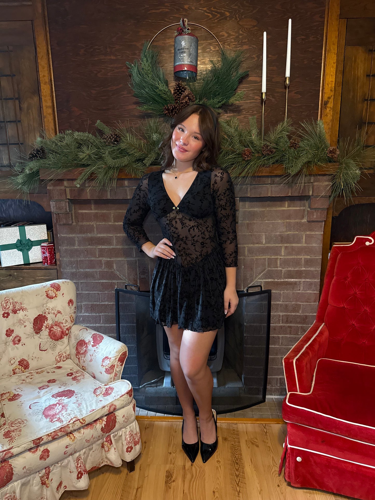 Silver Springs See-Though Dress