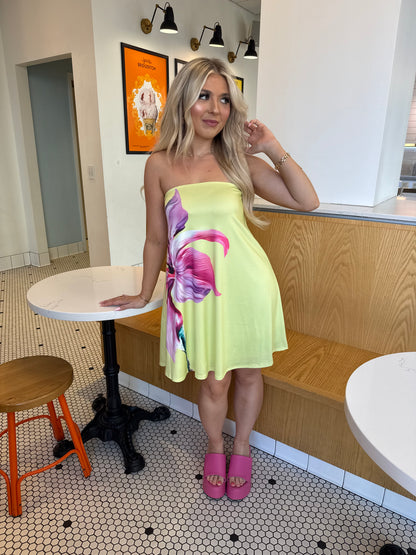 Spring Works Mini Dress