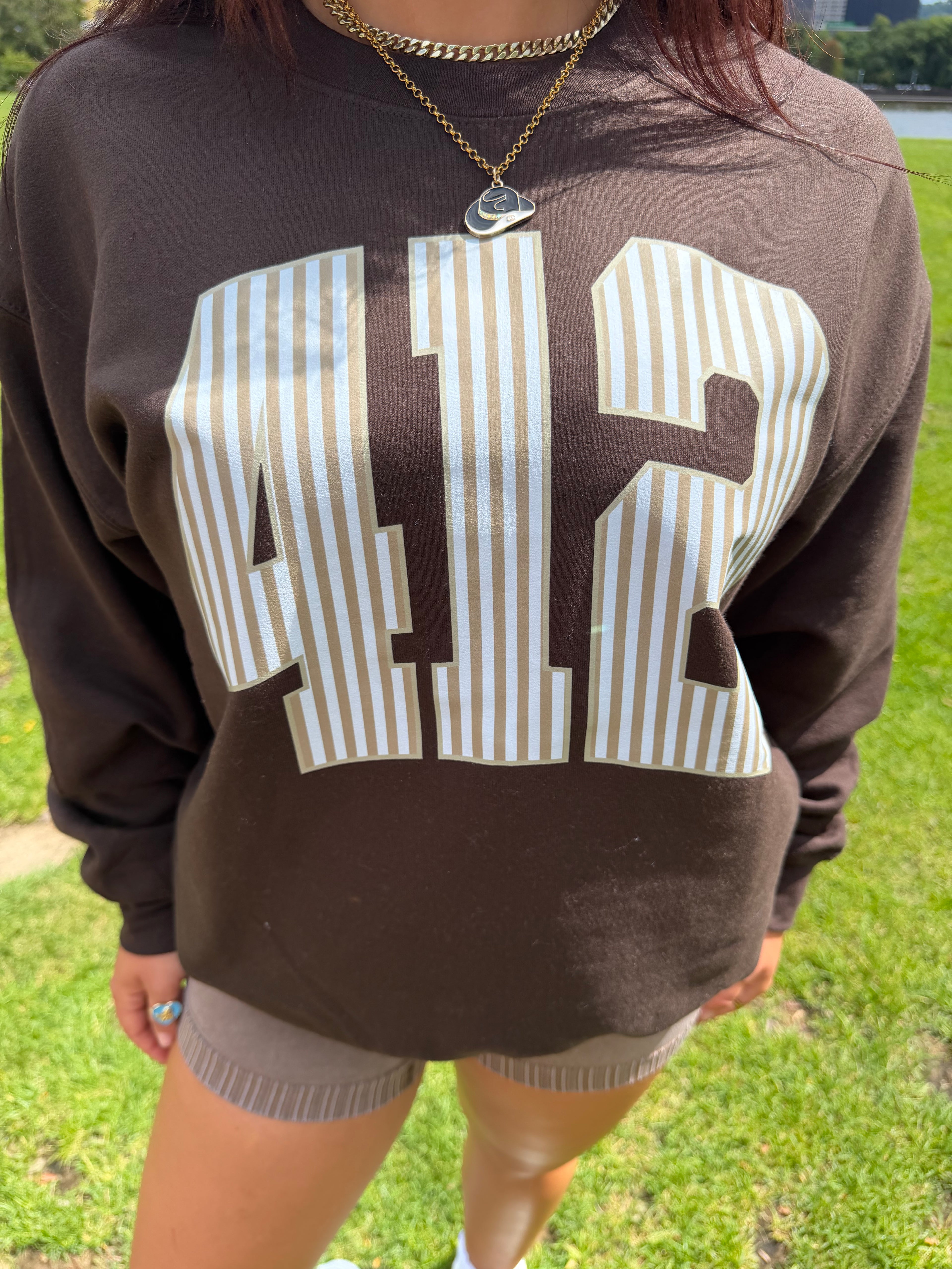 412 Brown Stripe Crewneck