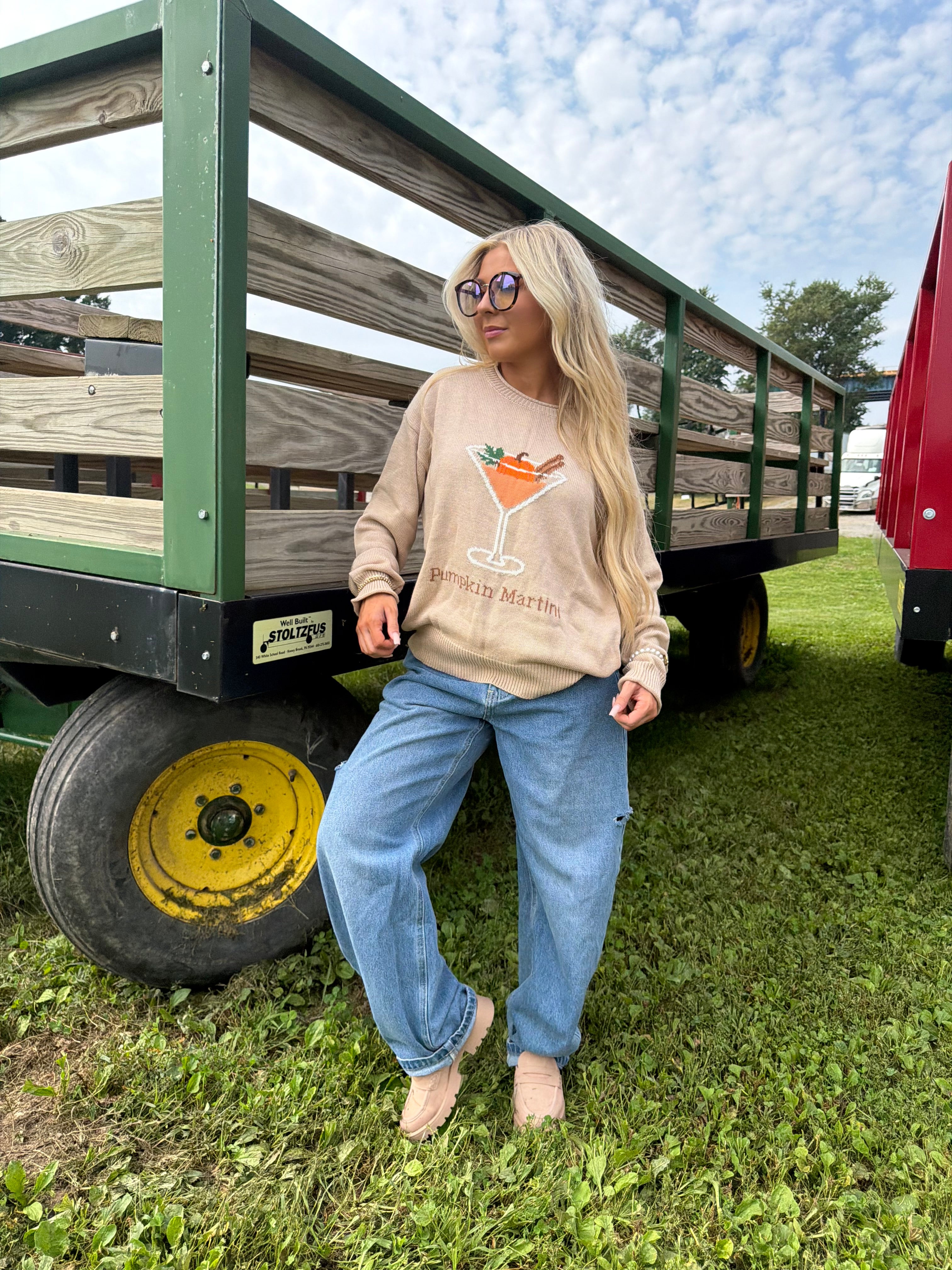 Pumpkin Martini Sweater FINAL SALE