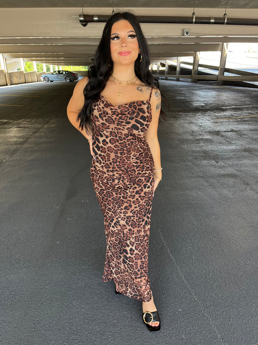 Kitty Cat Maxi Dress