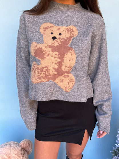 Beary Soft Grey Sweater