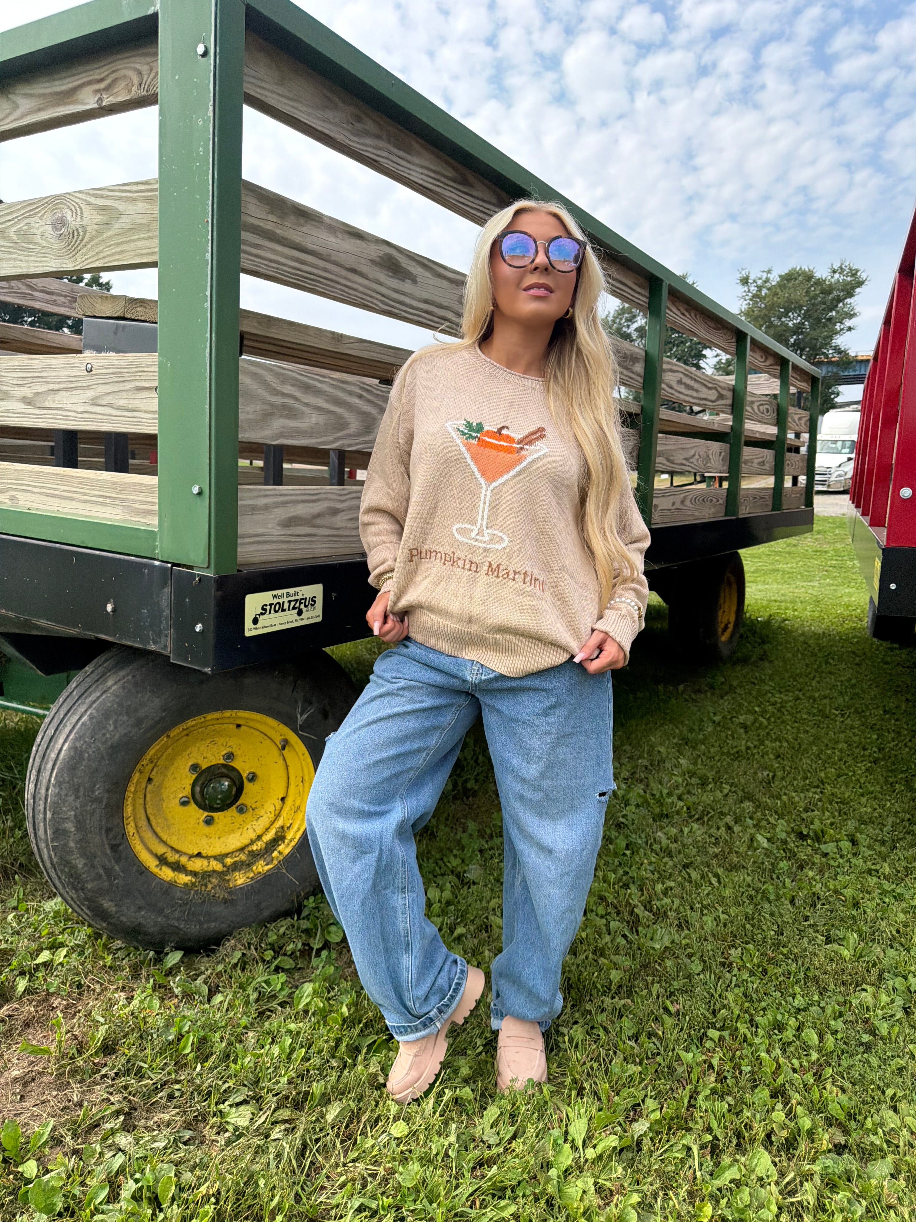 Pumpkin Martini Sweater FINAL SALE