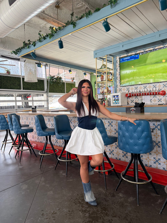 Nova Denim/Poplin Dress