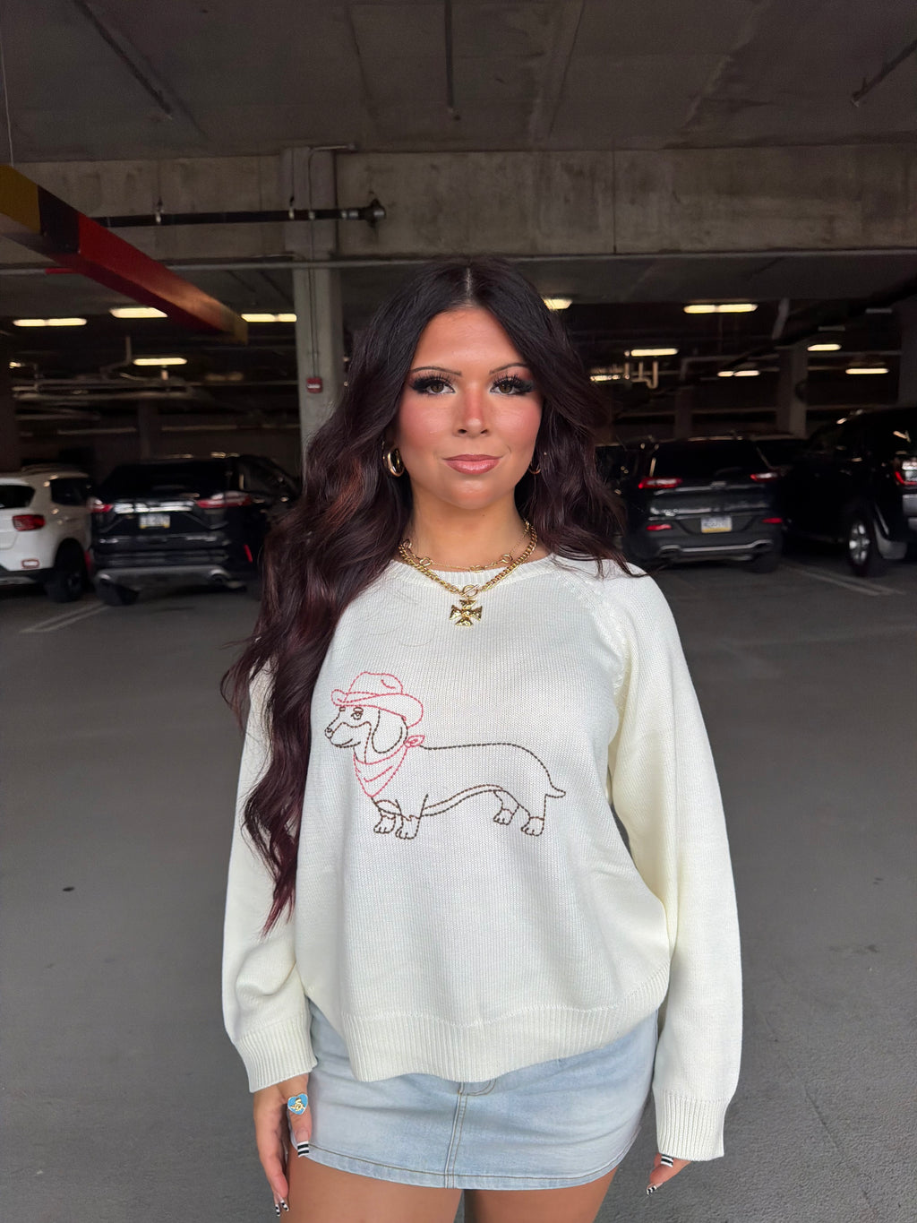 Howdy Weenie Sweater