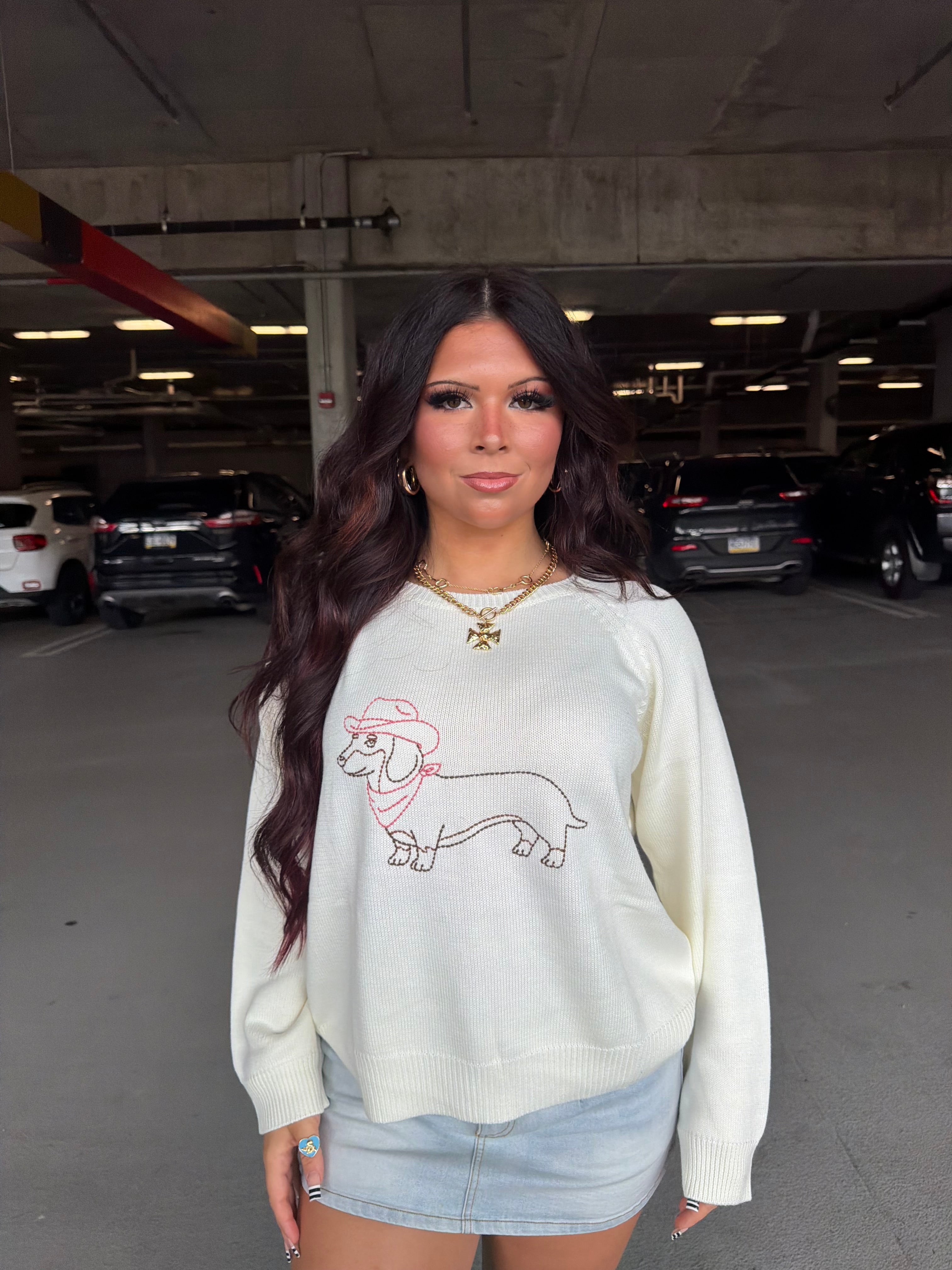 Howdy Weenie Sweater