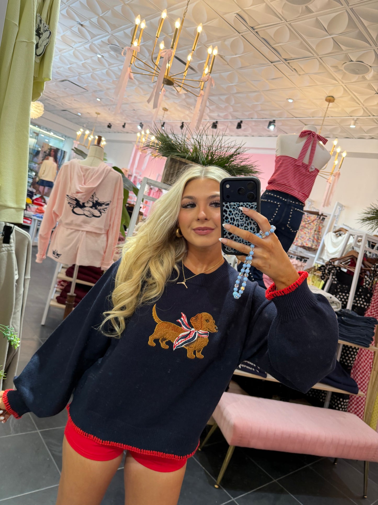 Patriotic Weenie Sweater