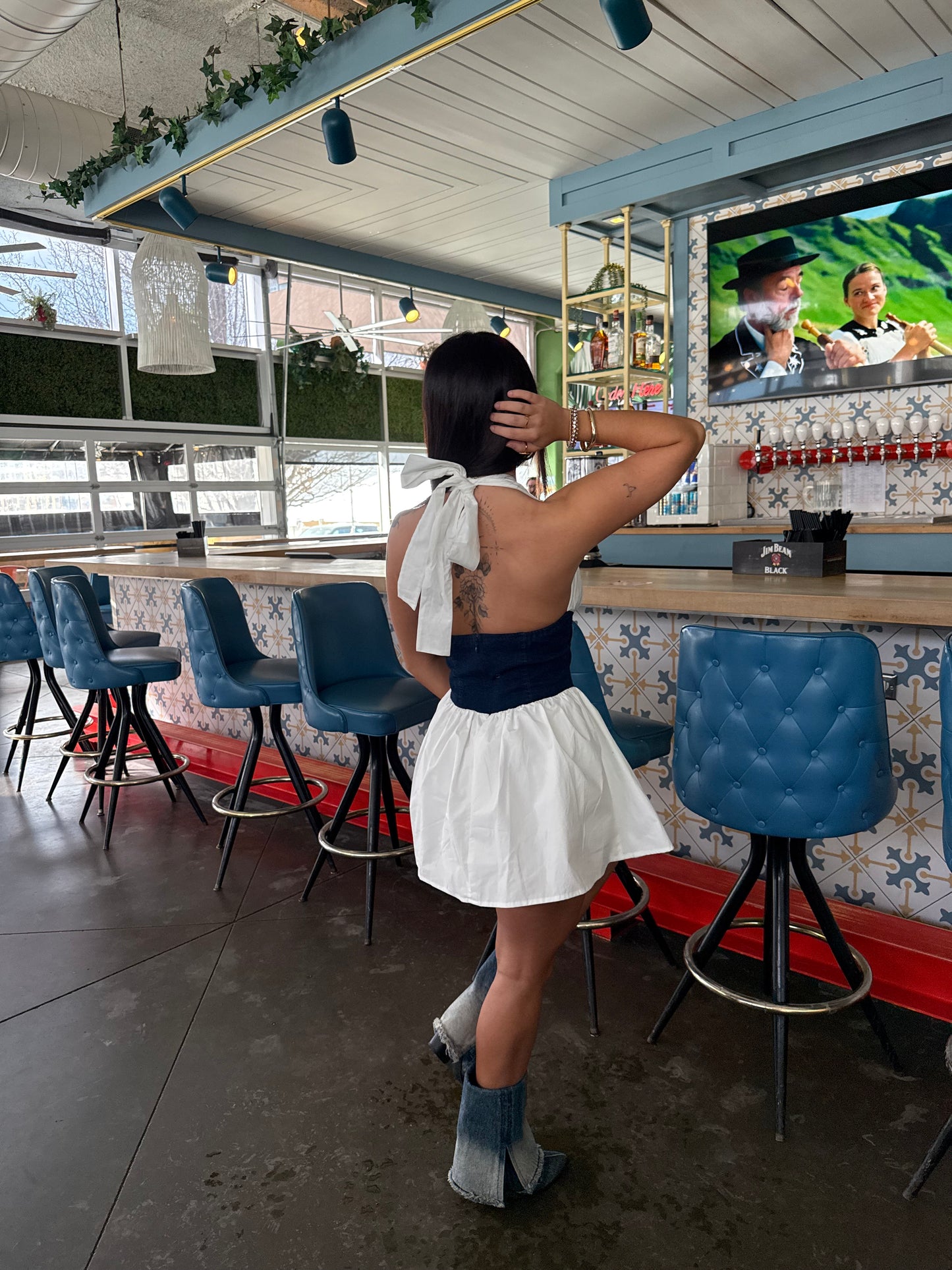 Nova Denim/Poplin Dress