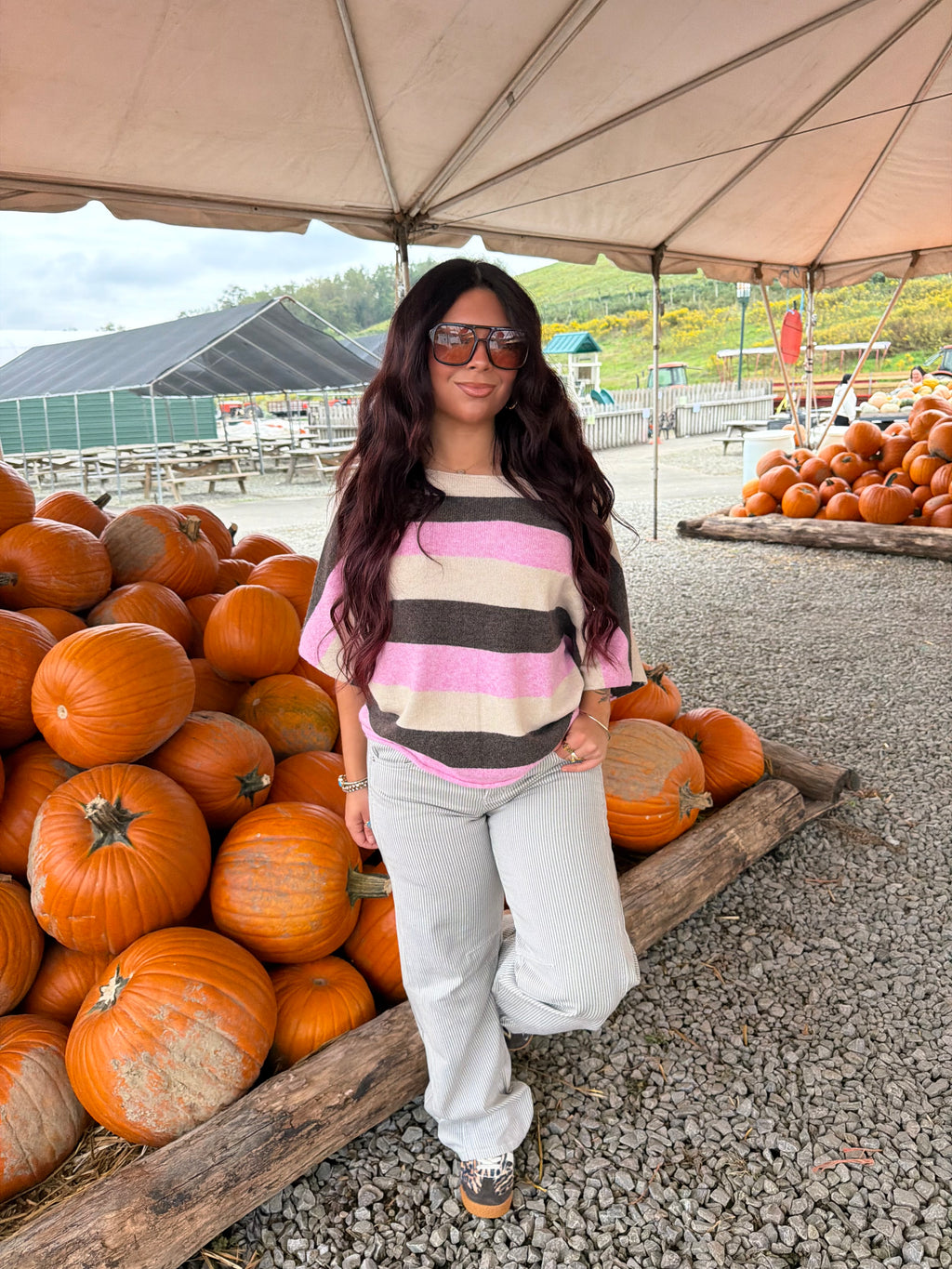 Dover Dolman Pink Top