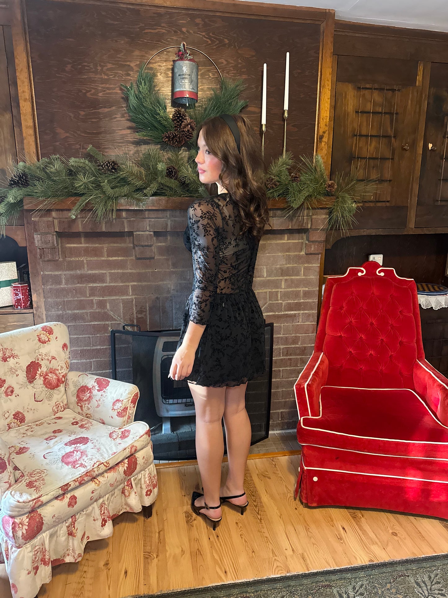 Silver Springs See-Though Dress