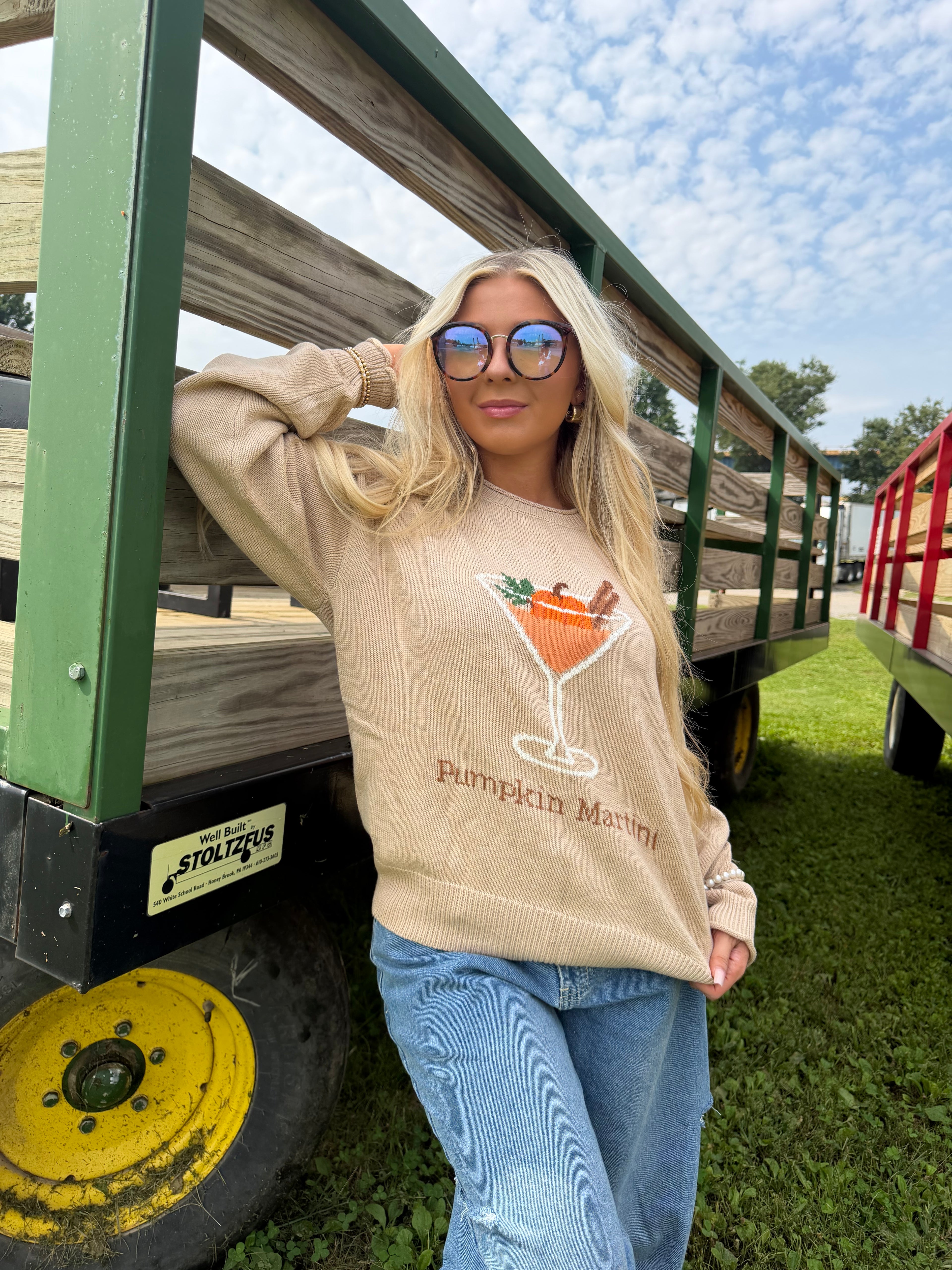 Pumpkin Martini Sweater FINAL SALE