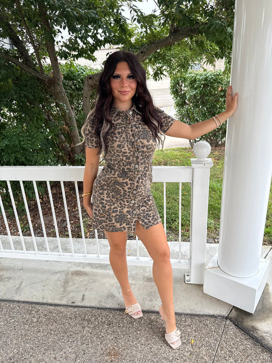 Lucky Leopard Dress