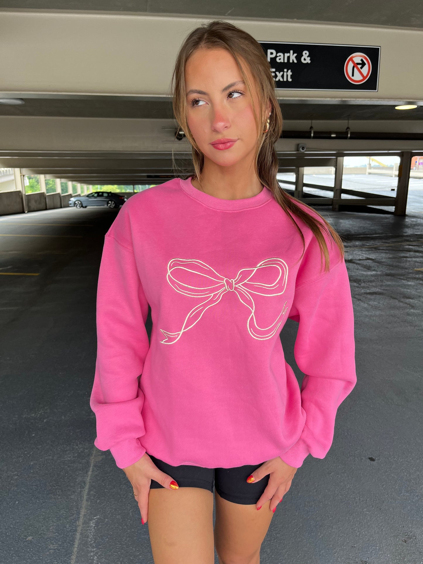 Embroidered Ribbon Sweatshirt in Pink