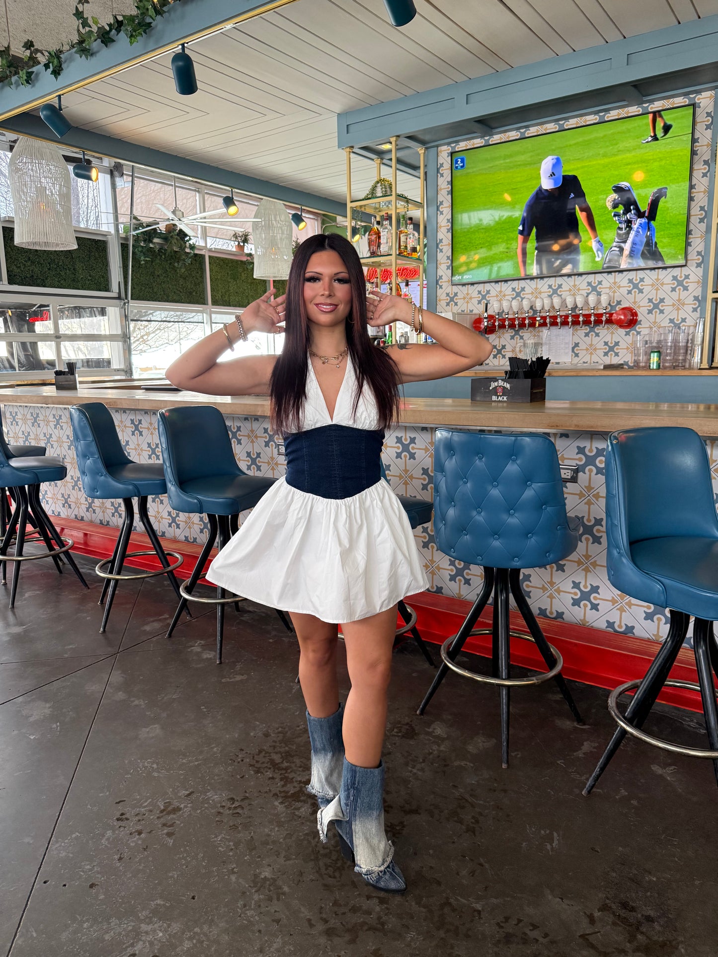 Nova Denim/Poplin Dress