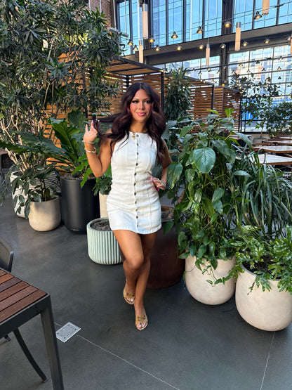 Winter Park Mini Dress