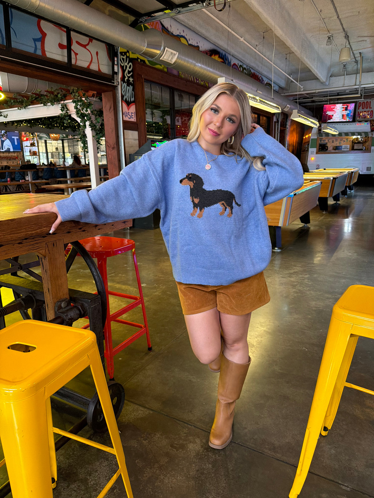 Hot Dog Baby Blue Sweater