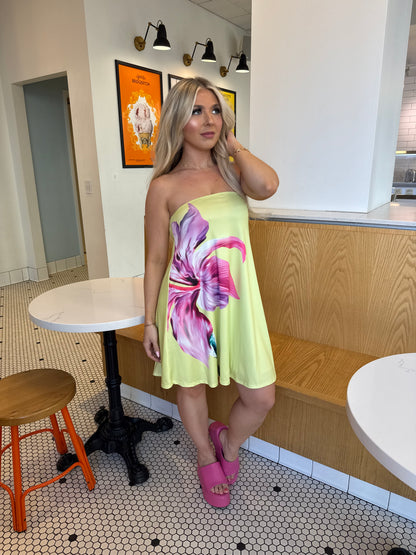 Spring Works Mini Dress