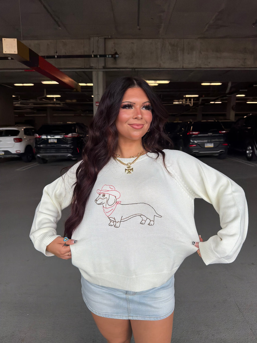 Howdy Weenie Sweater