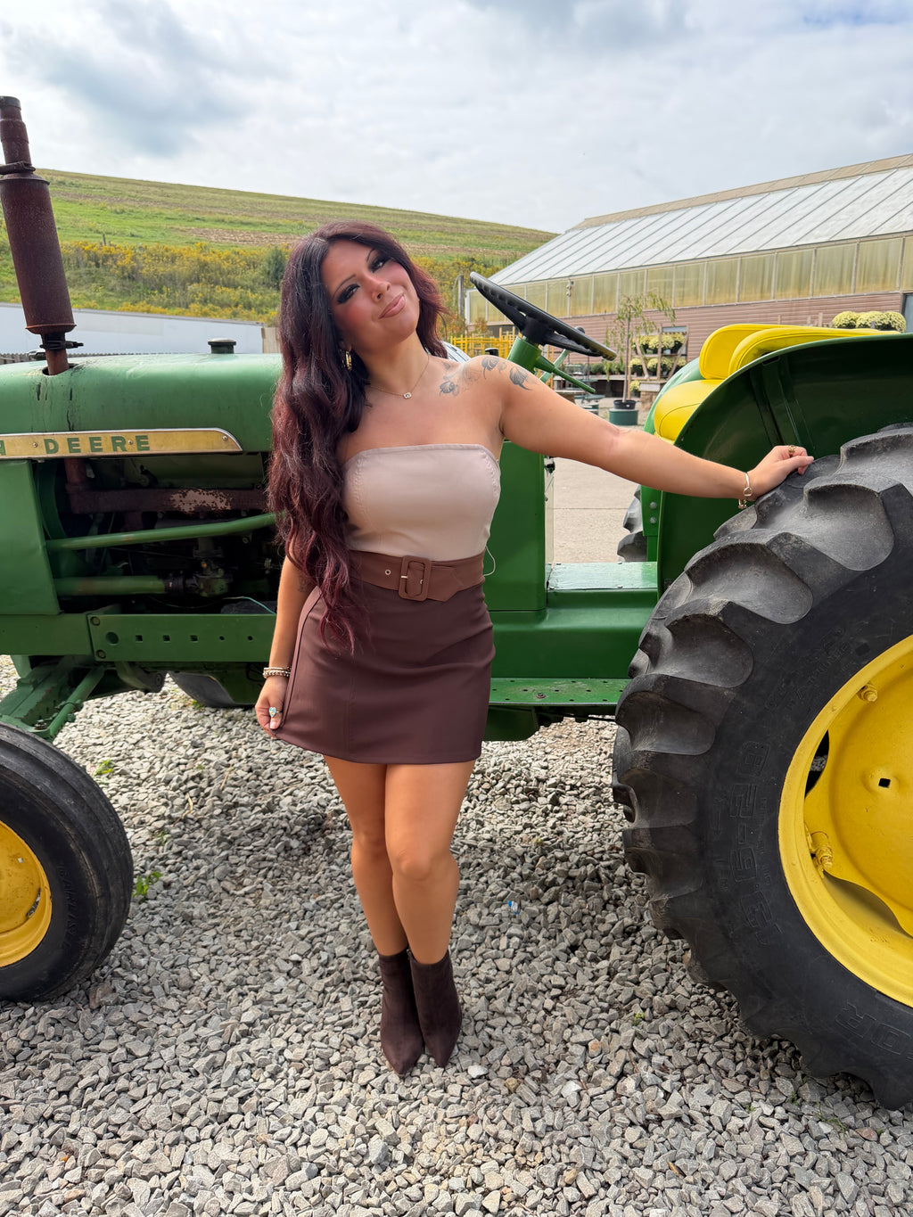 Brookie Choc Suede Dress