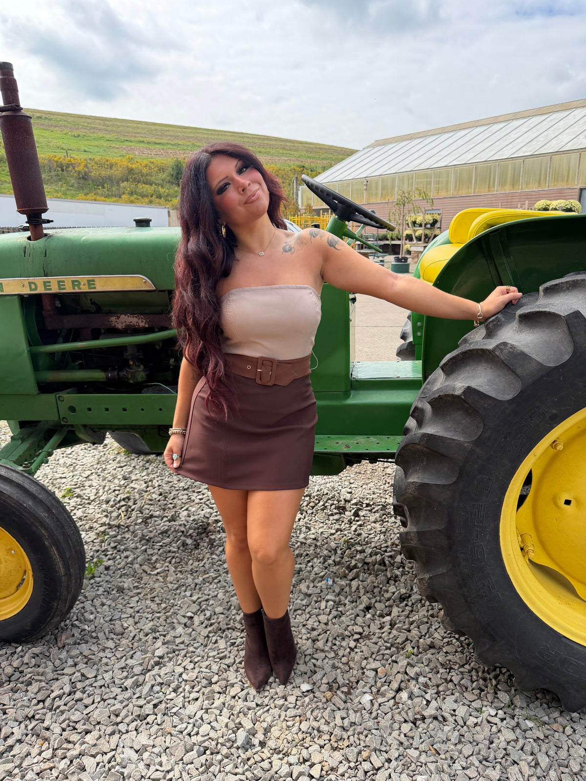 Brookie Choc Suede Dress
