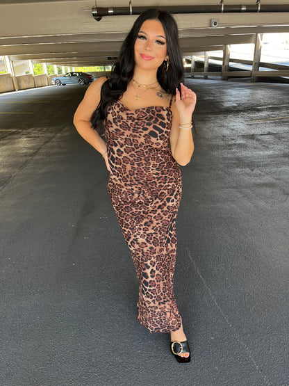 Kitty Cat Maxi Dress