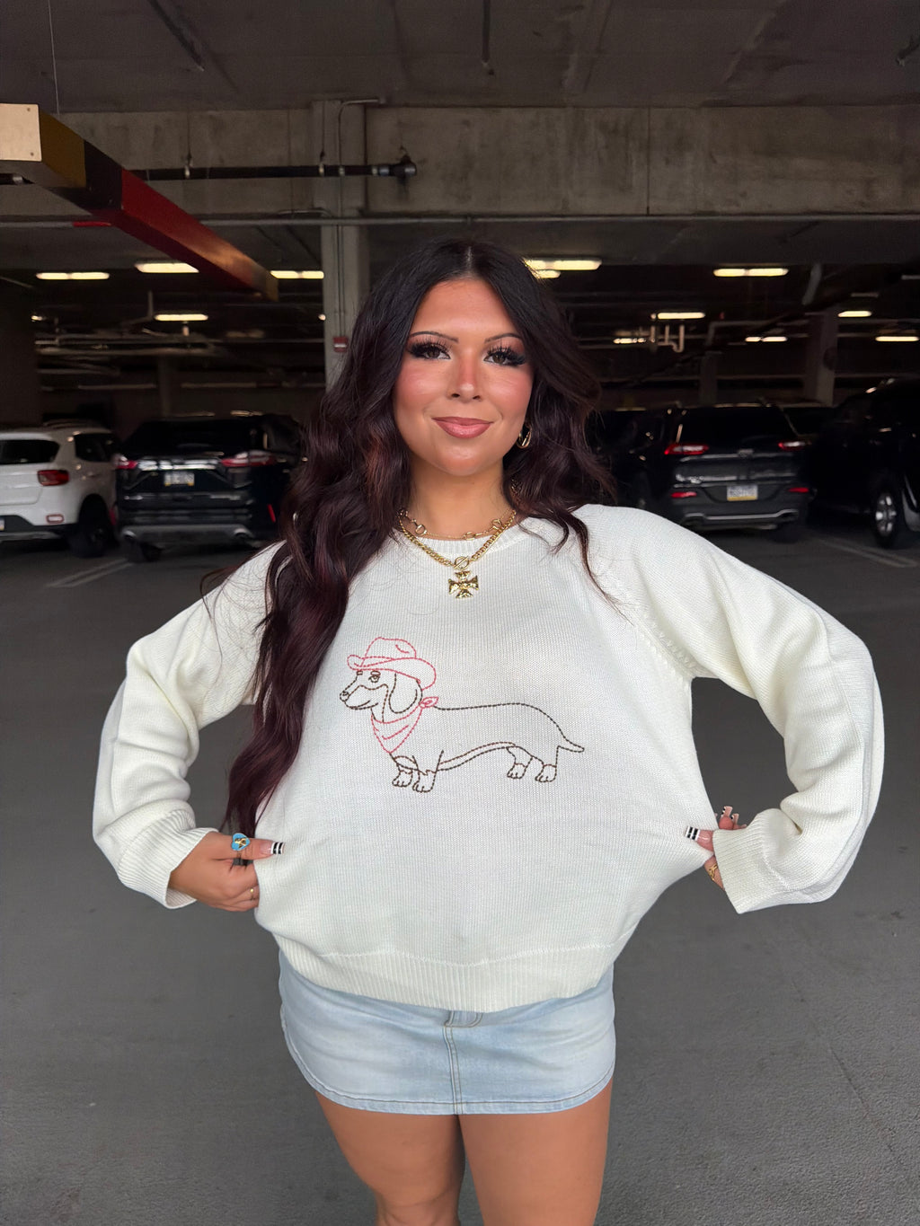 Howdy Weenie Sweater