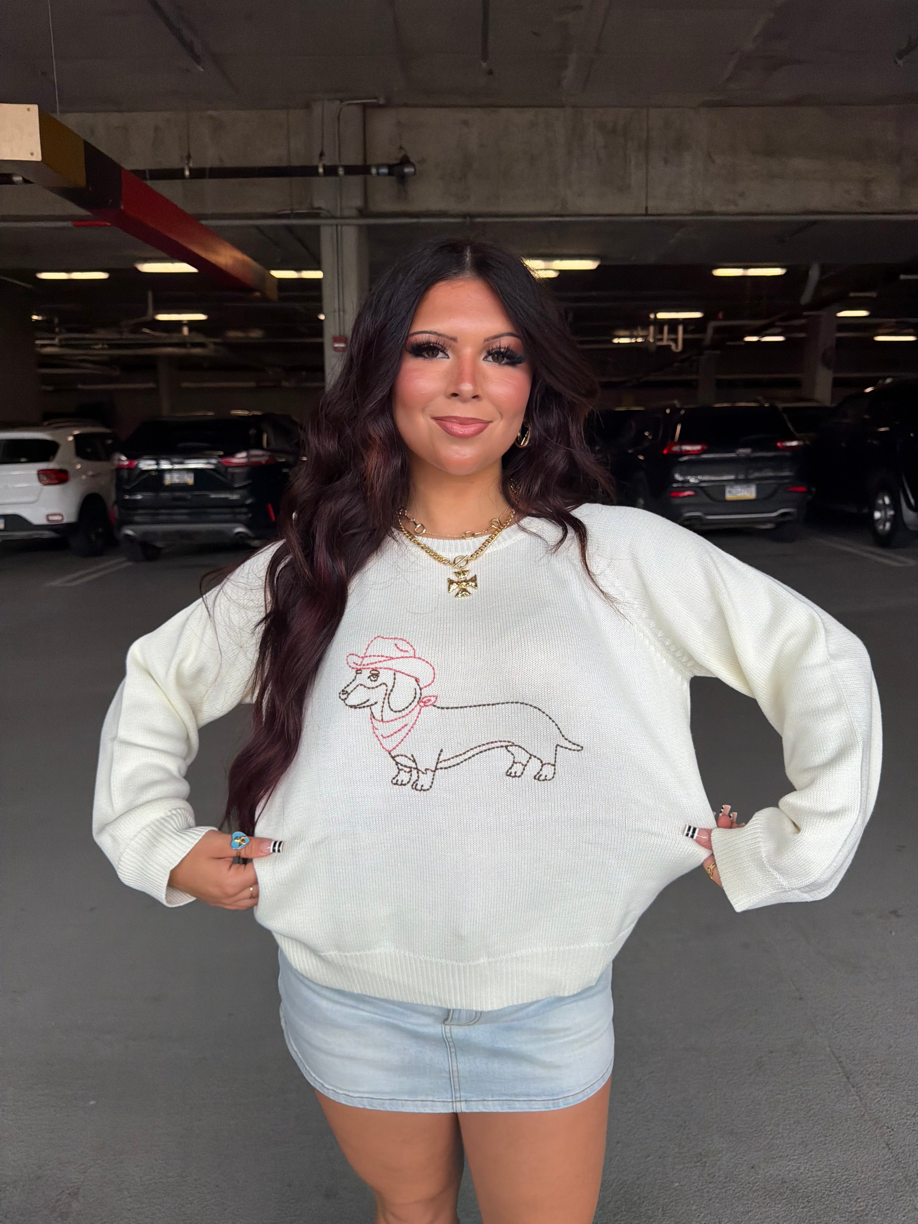 Howdy Weenie Sweater